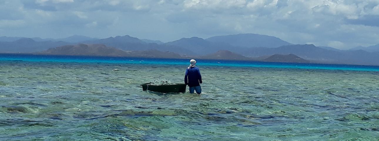 La pêche lagonaire