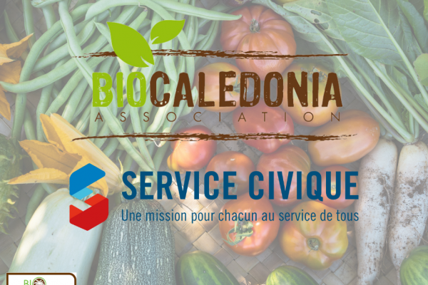 Biocal service civique
