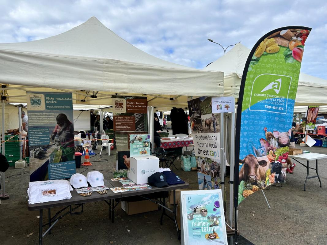 village de l'alimentation 2023 - stand cap nc