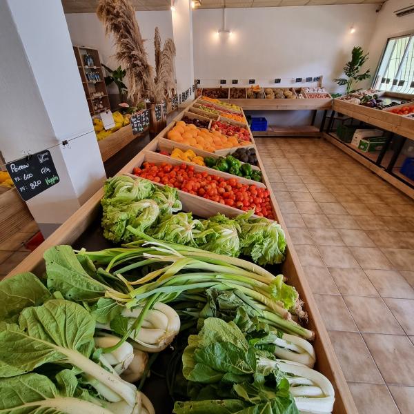 veggies robinson