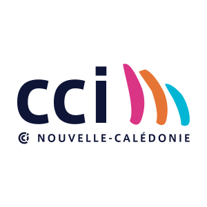 logo cci