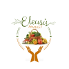 Logo eleusis market